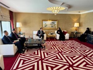 التعاون الصحي المصري القطري